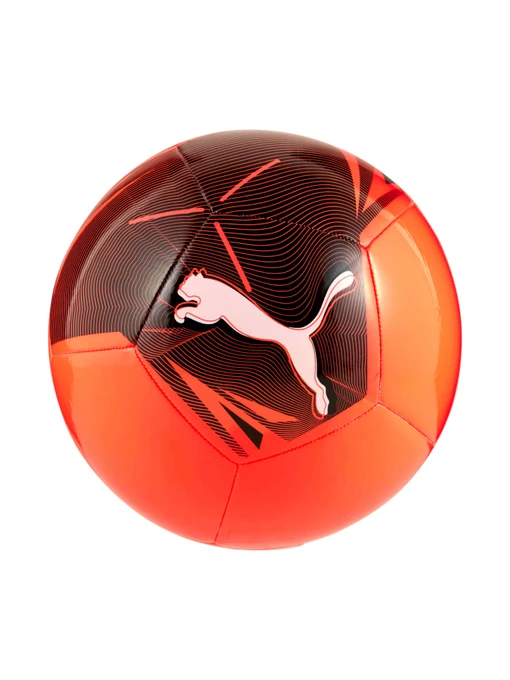 Мячи PUMA Big Cat Ball модель 084589 Фото
