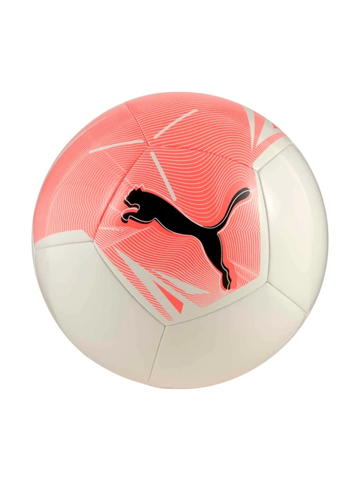 Мячи PUMA Big Cat Ball модель 084589 Фото
