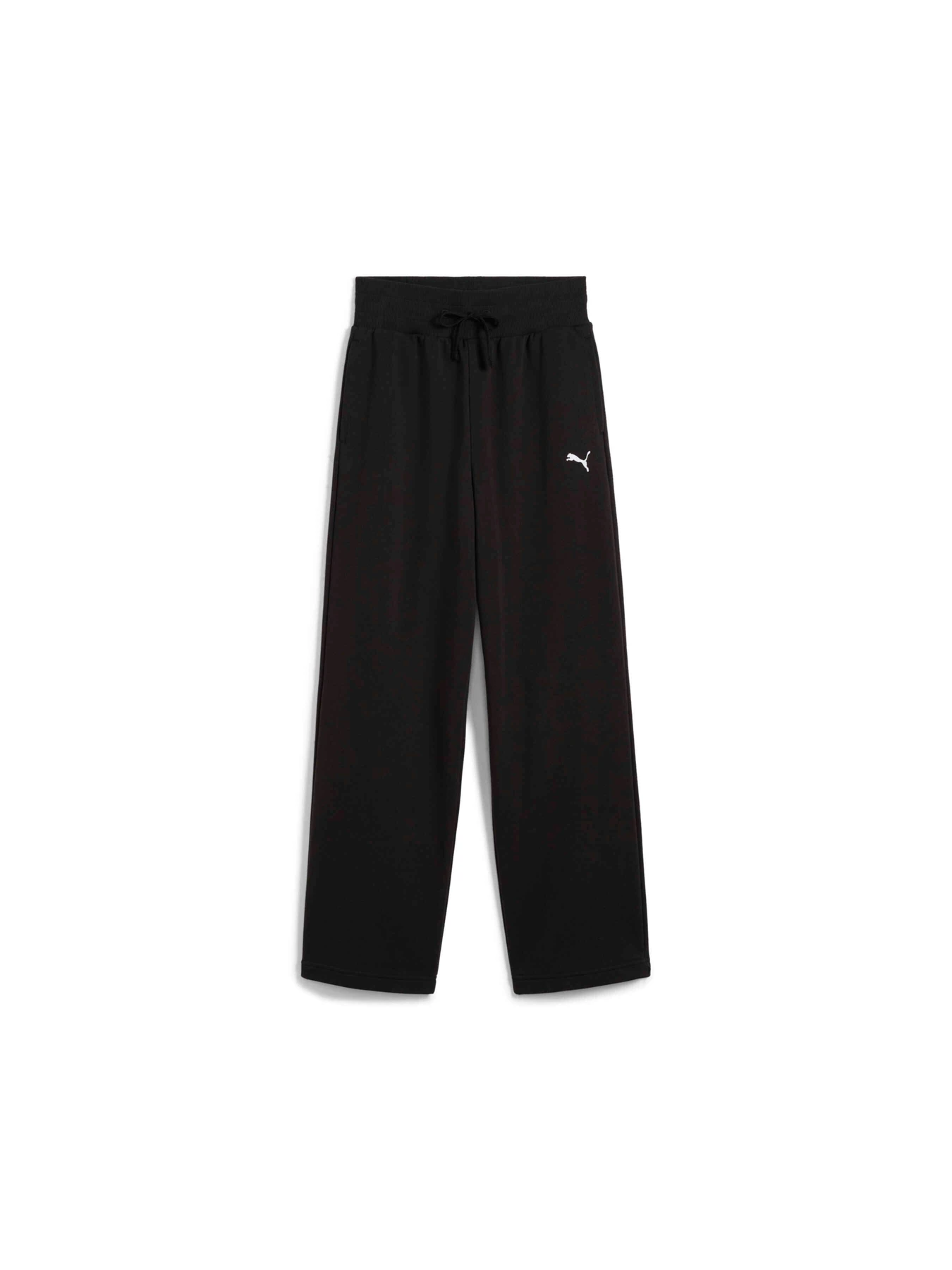 Брюки PUMA Wardrobe Ess Wide Sweatpants модель 629896 Фото
