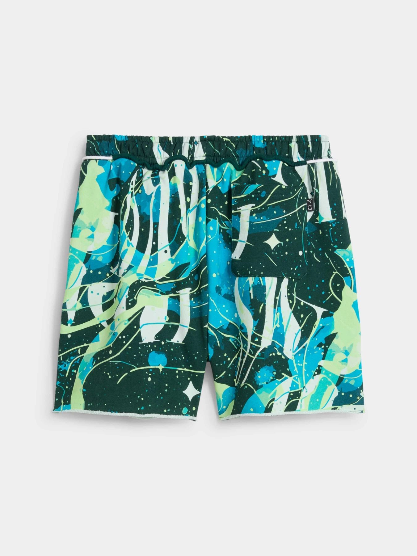 Шорты PUMA Hoop Dreamz Short Ii модель 630505 Фото