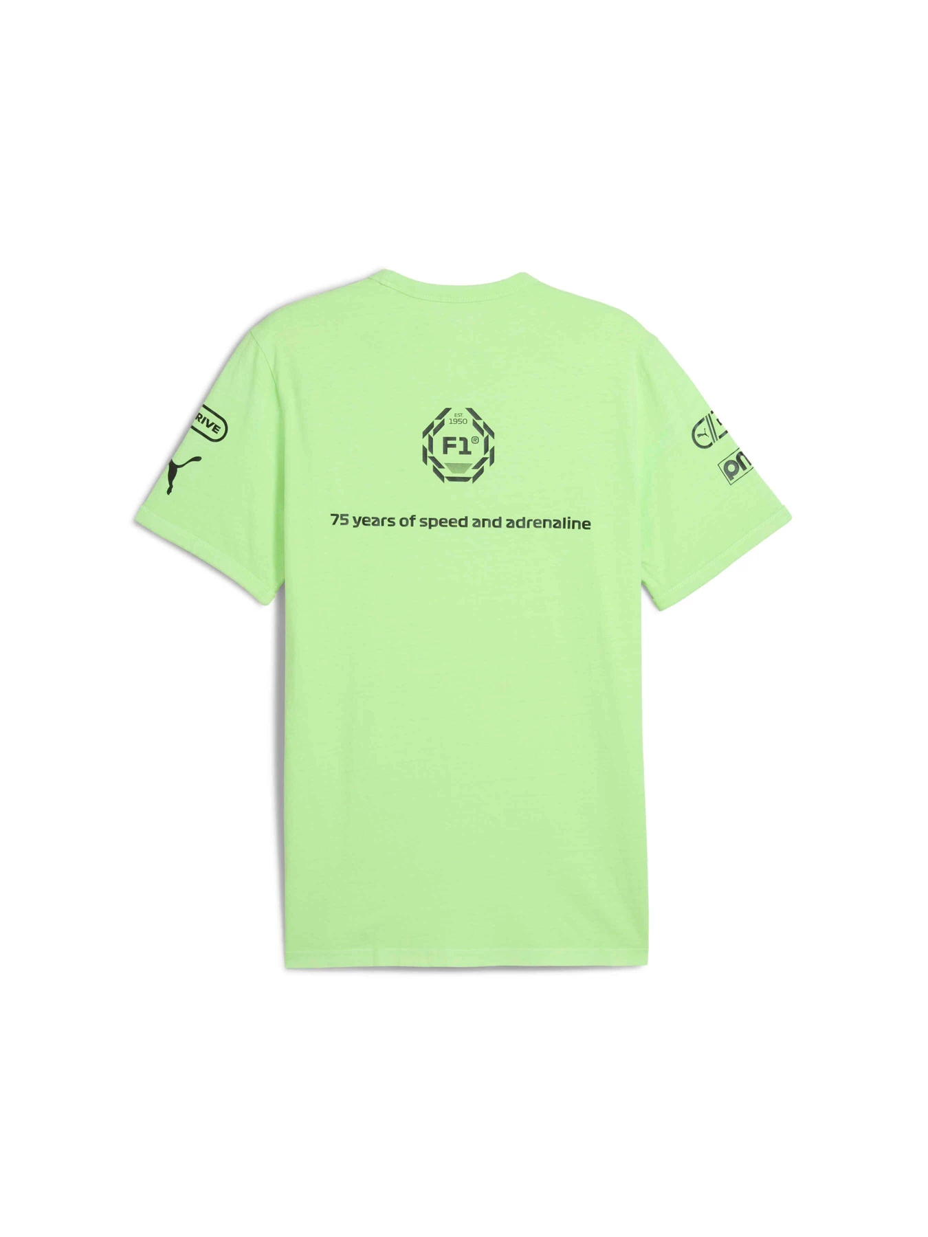 Футболки і поло PUMA F1 Graphic Ringer Tee модель 631641 Футболки і поло PUMA F1 Graphic Ringer Tee модель 631641 Фото