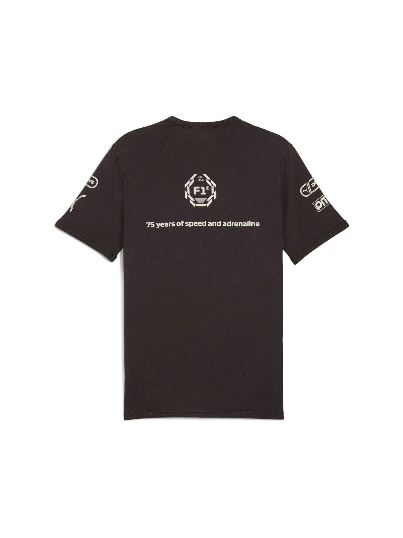 Футболки і поло PUMA F1 Graphic Ringer Tee модель 631641 Футболки і поло PUMA F1 Graphic Ringer Tee модель 631641 Фото