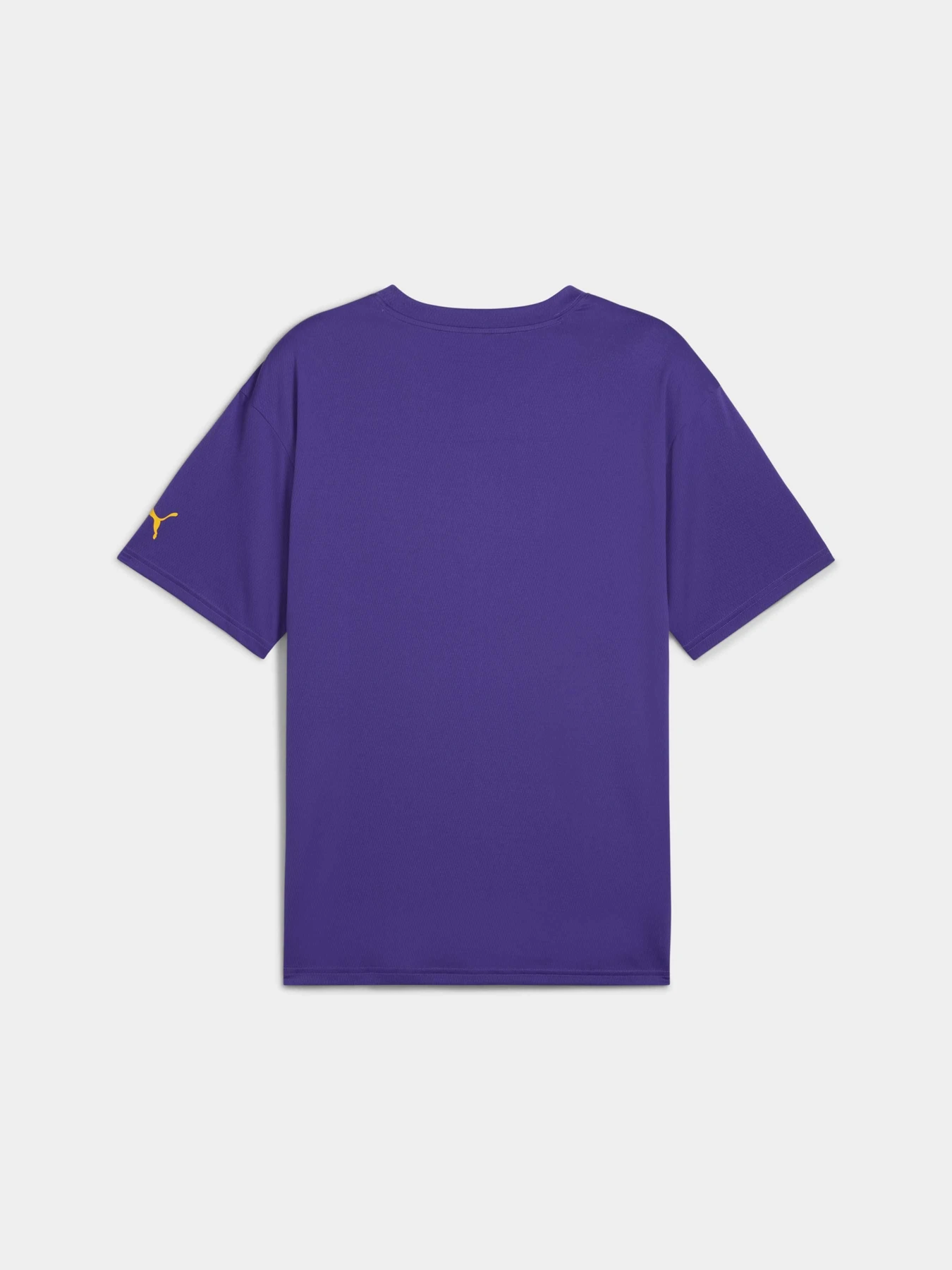 Футболки і поло PUMA Rival Rage Tee 2 модель 685442 Футболки і поло PUMA Rival Rage Tee 2 модель 685442 Фото
