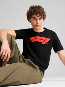 Футболки и поло PUMA F1 Ess Logo Tee 180g модель 633264 Фото