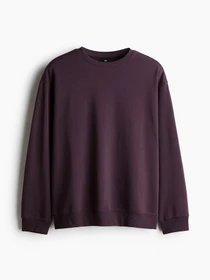 Худи и свитшоты H&M модель 74756 Фото