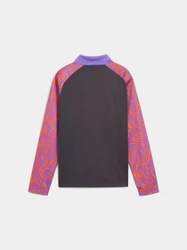 Худи и свитшоты PUMA Neymar Jr Creativity 1/4 Zip модель 660088 Фото