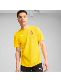 Футболки і поло PUMA Fcsd Training Jersey Pro модель 777853 Фото