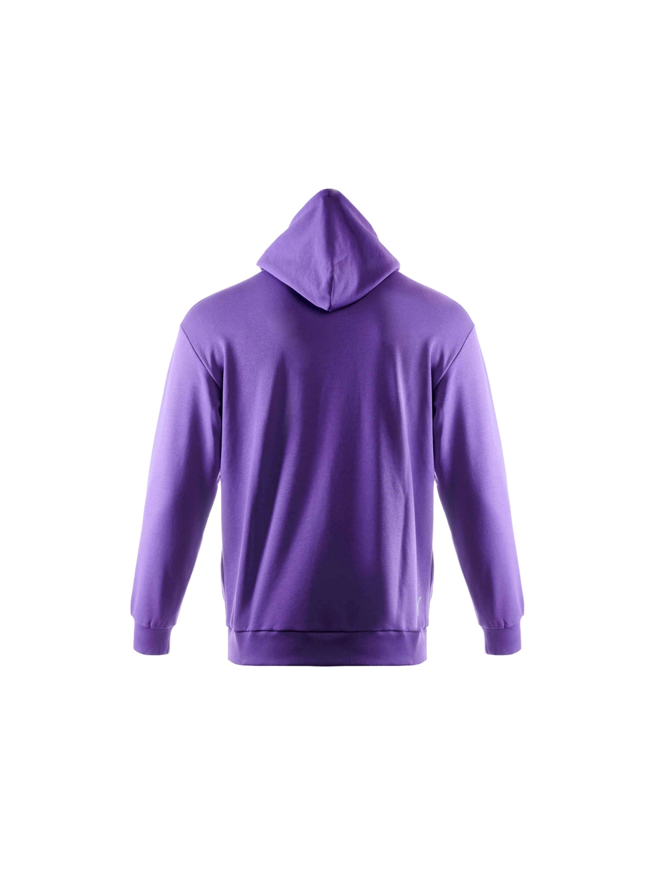 Худі та світшоти PUMA Navi Hoodie модель 629192 Фото