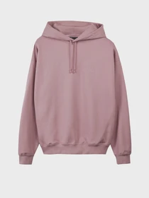 Худі та світшоти Adidas модель JD9819 Фото