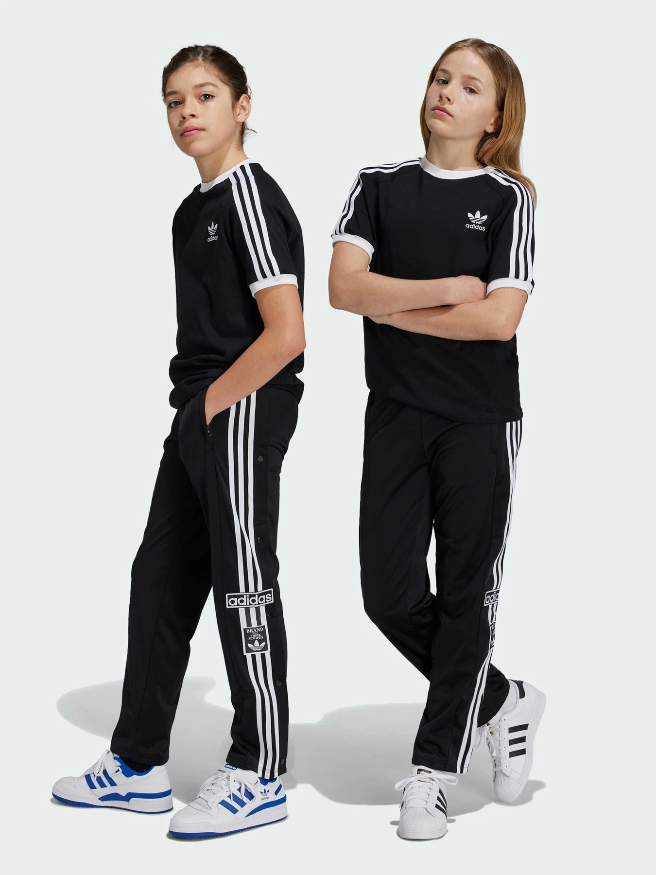 Брюки Adidas Adicolor модель IY9773 Фото