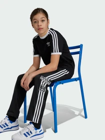 Брюки Adidas Adicolor модель IY9773 Фото