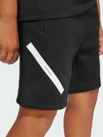 Шорты Adidas ZNE модель JD0010 Фото