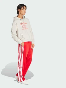 Худі та світшоти Adidas Graphics модель JD0670 Фото