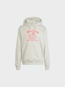 Худі та світшоти Adidas Graphics модель JD0670 Фото