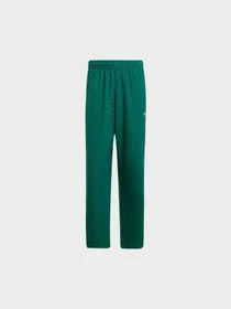 Брюки Adidas Graphics модель JD0699 Фото