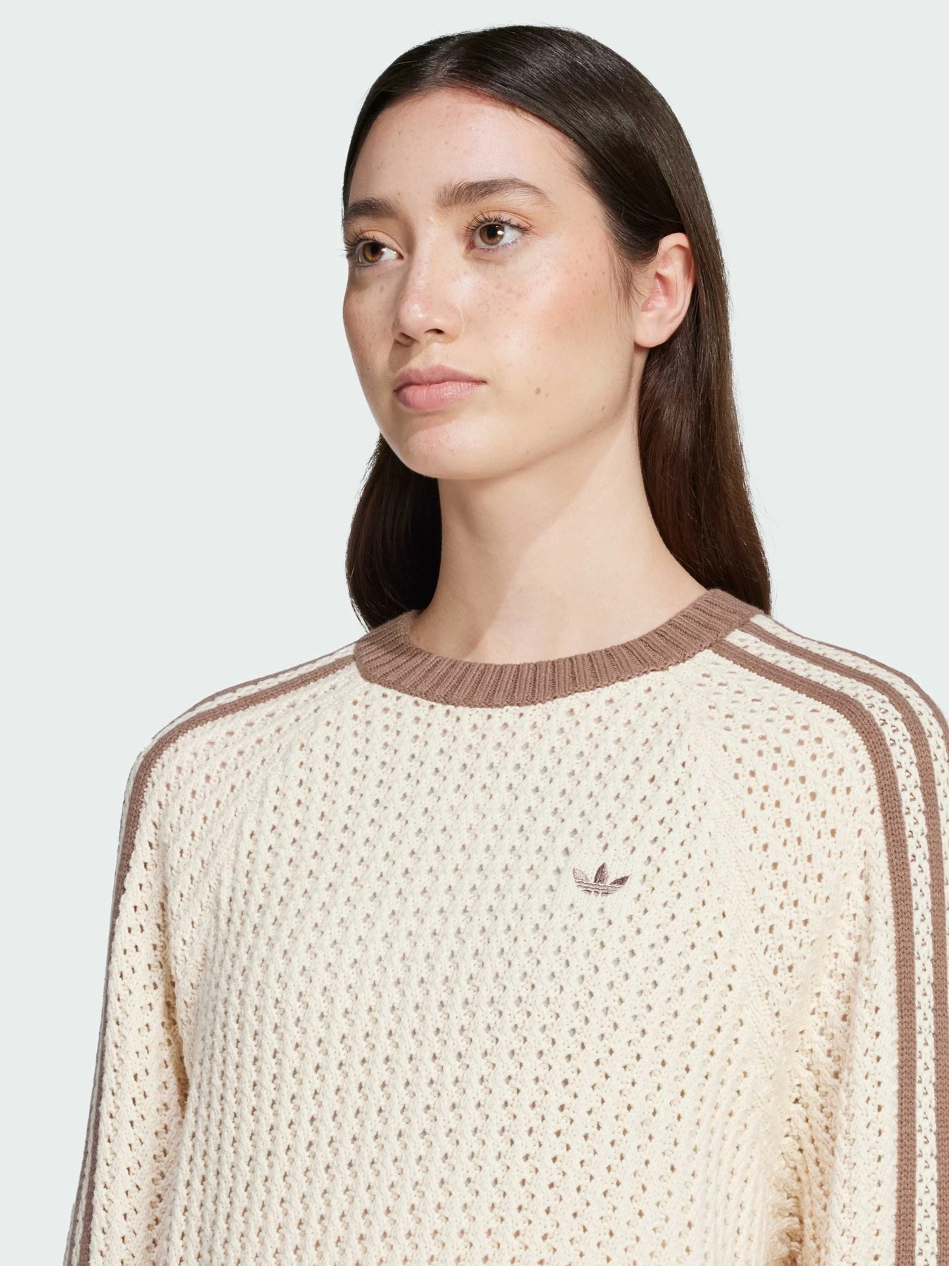 Худи и свитшоты Adidas Adicolor модель JD0907 Фото