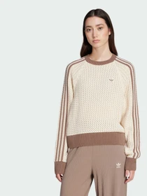 Худи и свитшоты Adidas Adicolor модель JD0907 Фото