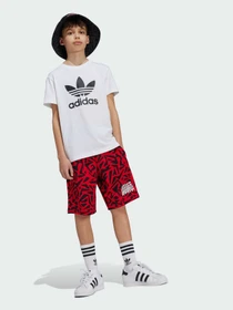 Футболки и поло Adidas Adicolor модель JE0516 Фото