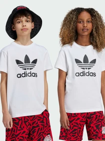 Футболки и поло Adidas Adicolor модель JE0516 Фото