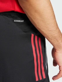 Шорты Adidas Tiro модель JI6491 Фото