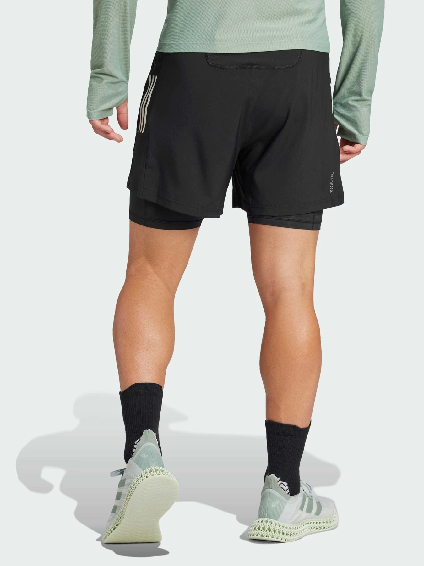 Шорты Adidas модель JM5400 Фото