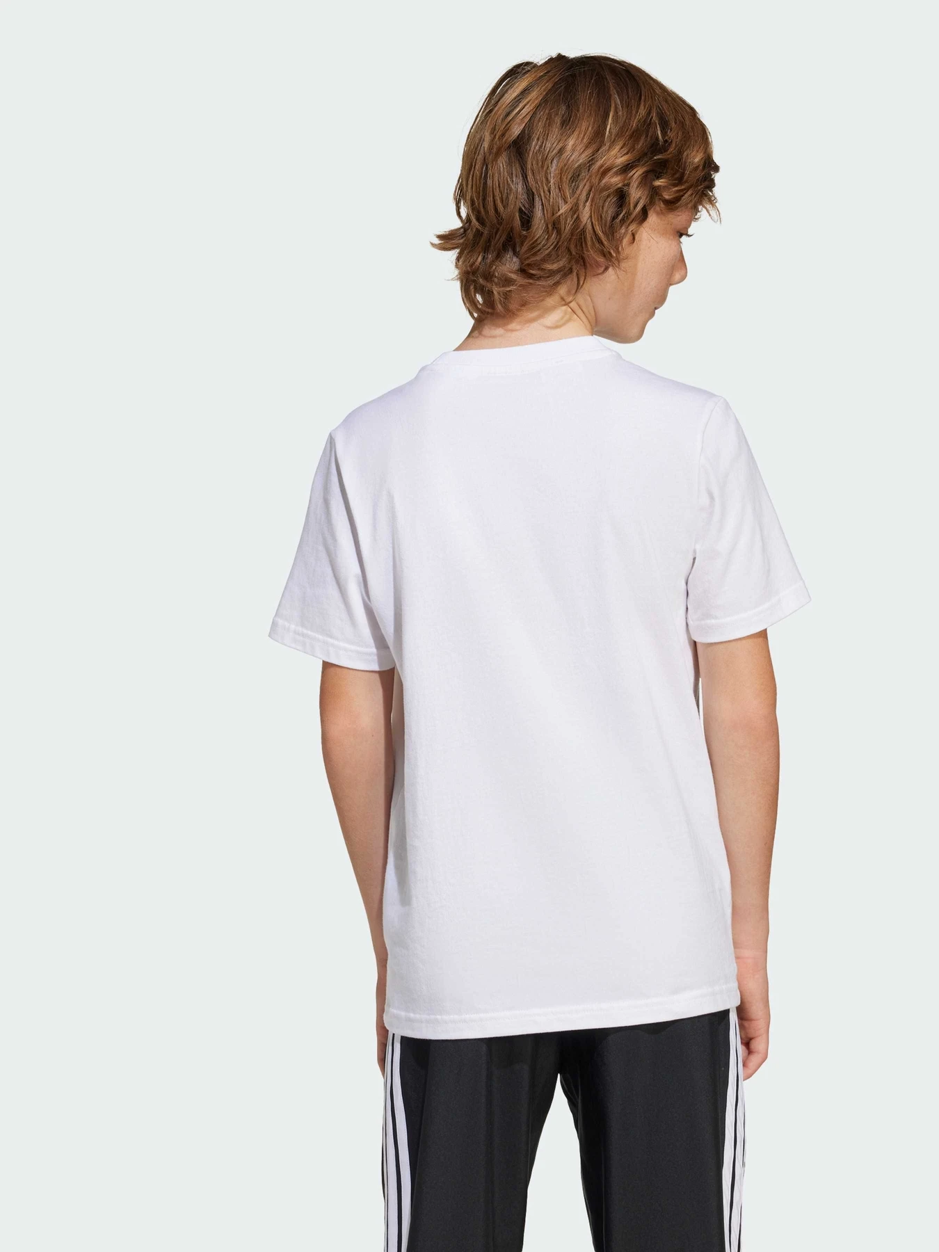 Футболки и поло Adidas модель JJ1412 Футболки и поло Adidas модель JJ1412 Фото