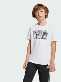 Футболки и поло Adidas модель JJ1412 Фото