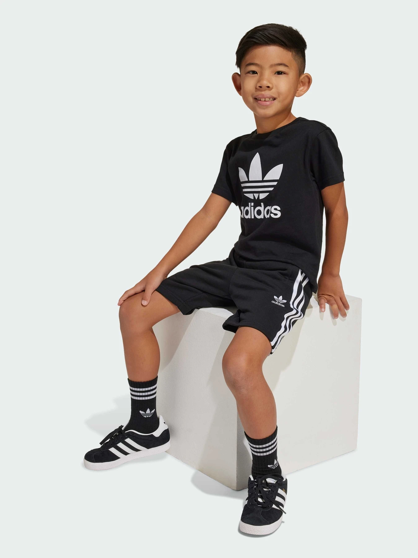 Костюмы Adidas Adicolor модель JC9155 Костюмы Adidas Adicolor модель JC9155 Фото