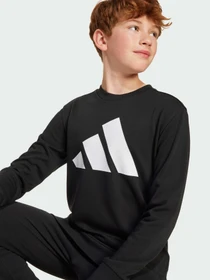 Костюмы Adidas модель JD2102 Фото