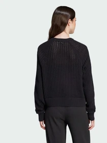 Худи и свитшоты Adidas Adicolor модель JD0905 Фото