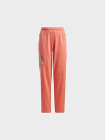 Брюки Adidas модель JC6680 Фото