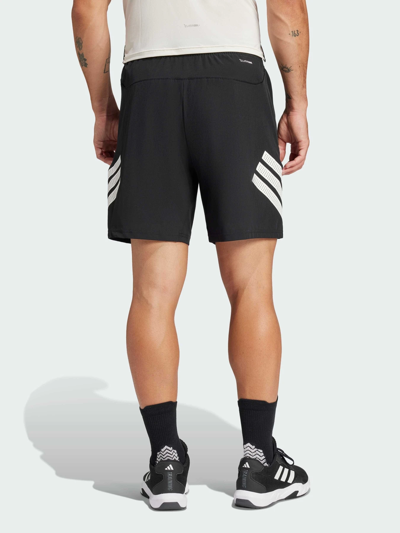 Шорты Adidas 3 Stripes модель JE5673 Фото