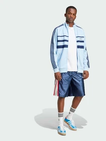 Худі та світшоти Adidas Adicolor модель JP1042 Фото