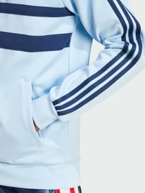 Худі та світшоти Adidas Adicolor модель JP1042 Фото