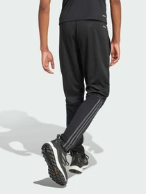 Брюки Adidas 3 Stripes модель IR9735 Фото