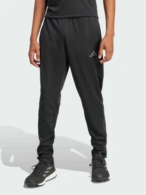 Брюки Adidas 3 Stripes модель IR9735 Фото