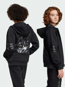 Худи и свитшоты Adidas x Disney модель JF3634 Фото