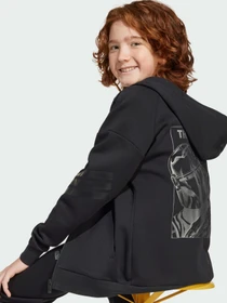 Худи и свитшоты Adidas x Disney модель JF3634 Фото