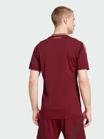 Футболки і поло Adidas модель IT6058 Фото