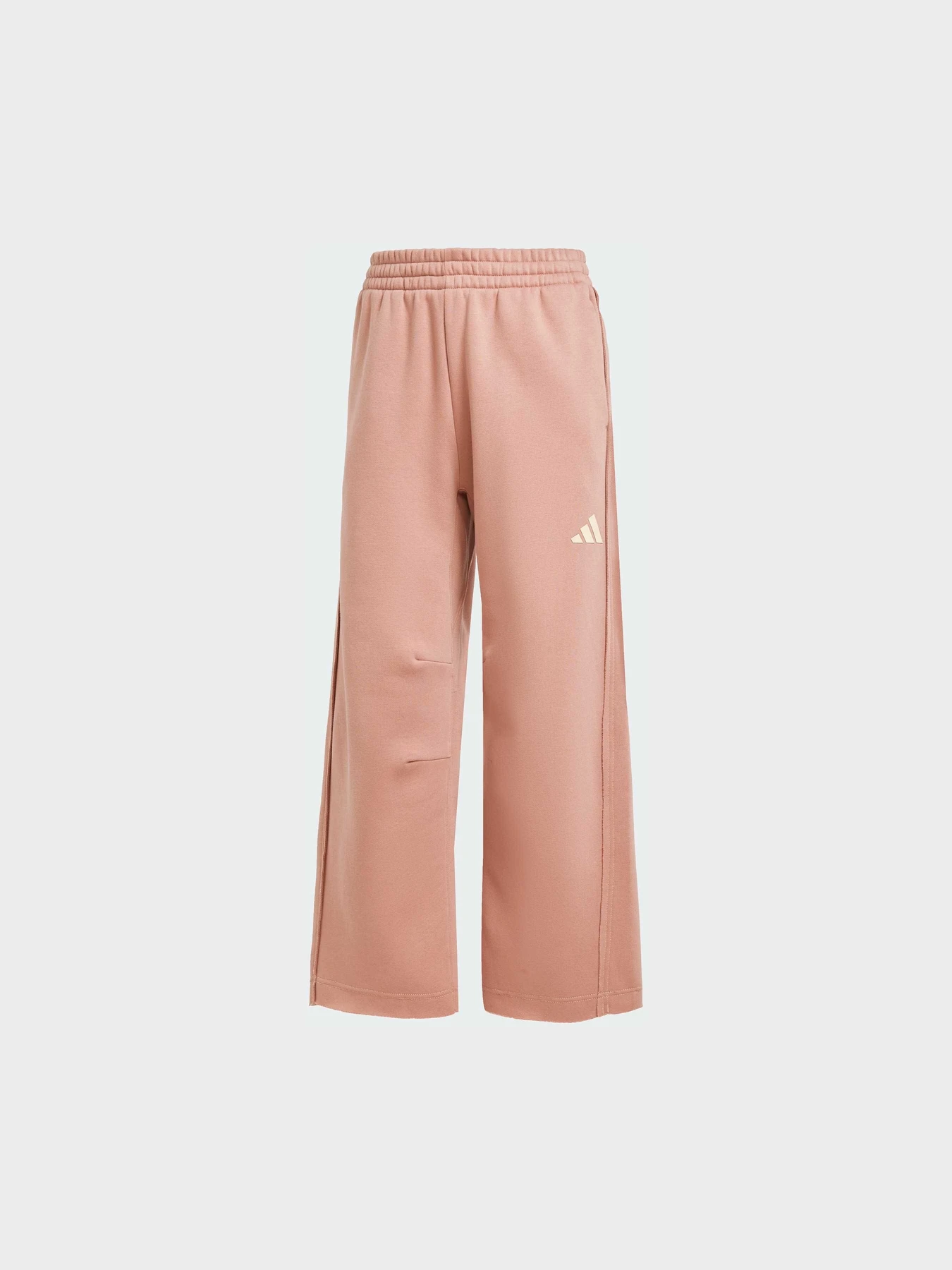 Брюки Adidas модель JJ4531 Фото