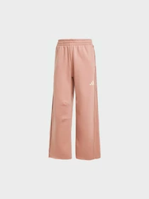 Брюки Adidas модель JJ4531 Фото