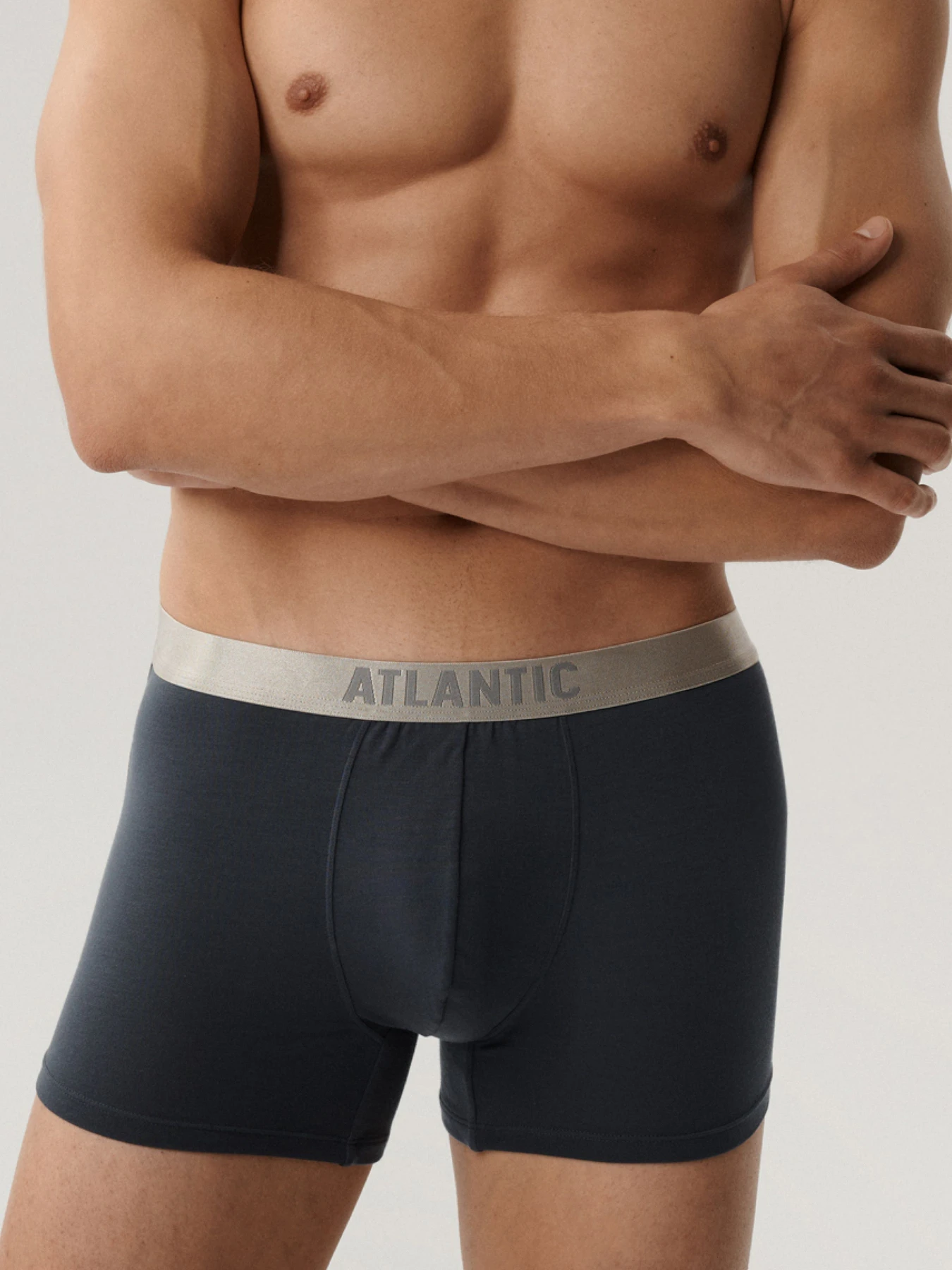 Нижнее белье Atlantic модель 2BMH-012_GRF Нижнее белье Atlantic модель 2BMH-012_GRF Фото