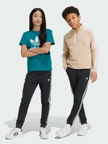 Штани Adidas Adicolor модель IY7484 Фото
