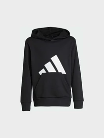 Худи и свитшоты Adidas модель JC9667 Фото