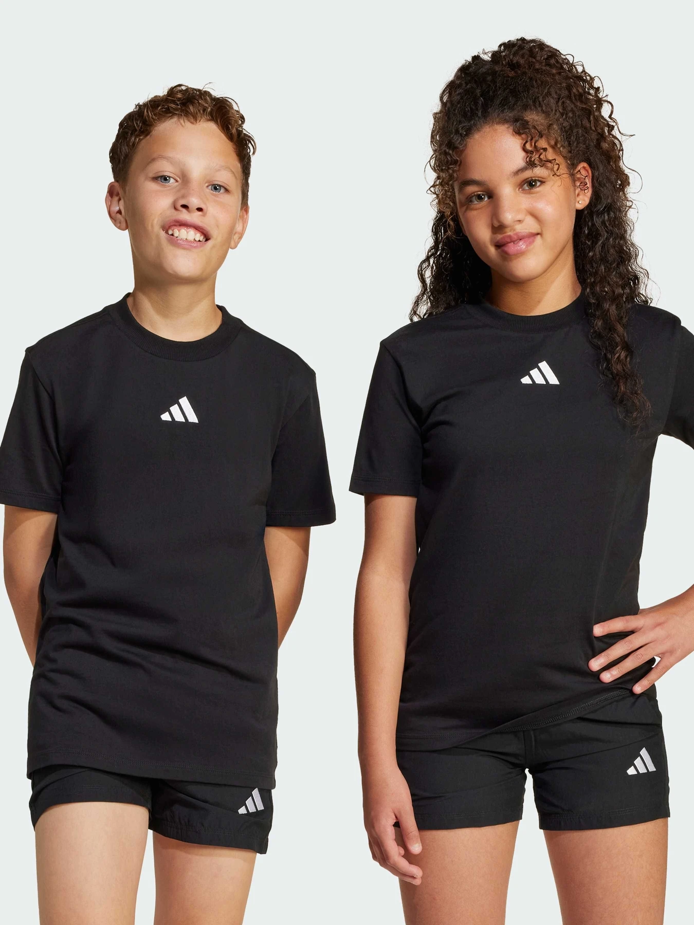 Футболки и поло Adidas Adidas Essentials модель JC9776 Футболки и поло Adidas Adidas Essentials модель JC9776 Фото