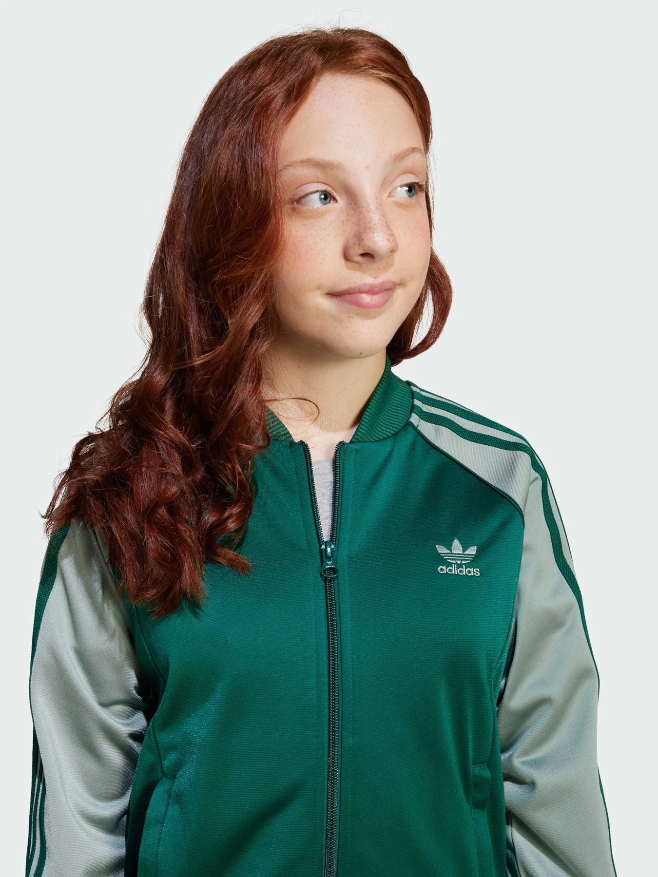 Худи и свитшоты Adidas Adicolor модель JD1611 Худи и свитшоты Adidas Adicolor модель JD1611 Фото