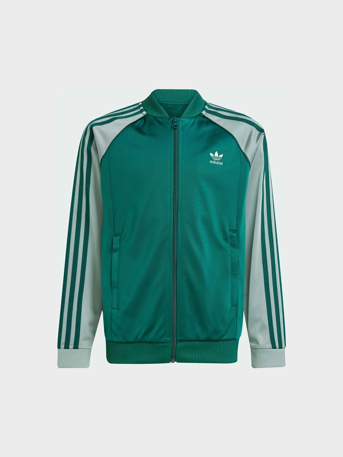 Худи и свитшоты Adidas Adicolor модель JD1611 Худи и свитшоты Adidas Adicolor модель JD1611 Фото