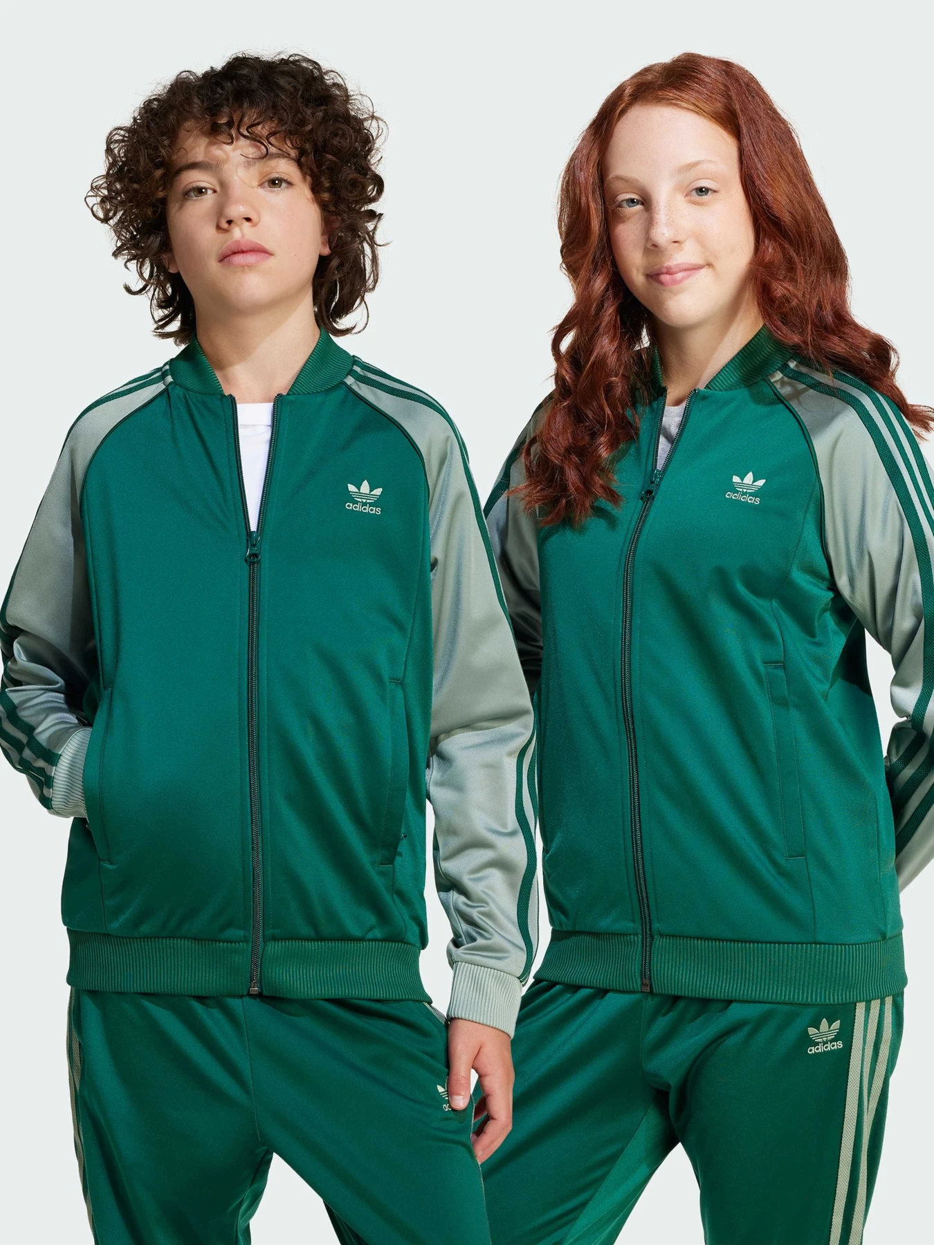 Худи и свитшоты Adidas Adicolor модель JD1611 Худи и свитшоты Adidas Adicolor модель JD1611 Фото
