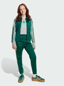 Худи и свитшоты Adidas Adicolor модель JD1611 Фото
