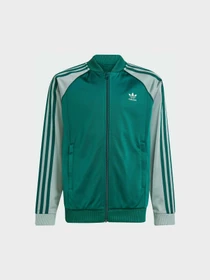 Худи и свитшоты Adidas Adicolor модель JD1611 Фото